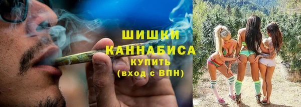 mdpv Горно-Алтайск